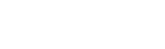 light logo
